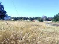 Palmela/Quinta do Anjo Terreno 6800m2 .