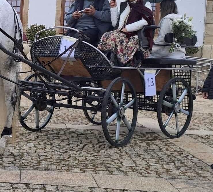 Charrete singular ou de parelha