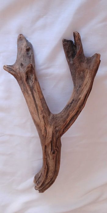 Tronco decorativo natural para terrário