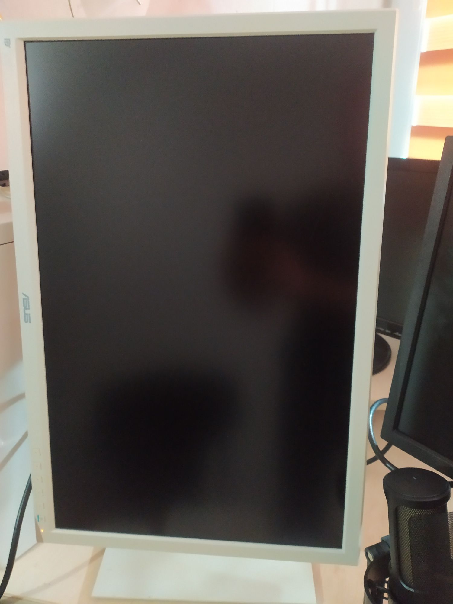 Monitor ASUS 24' FULL HD cali DVI VGA 60 Hz Biały