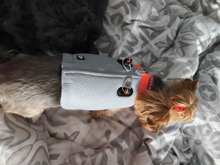 Kamizelka chłodząca dla psa  Truelove XXS