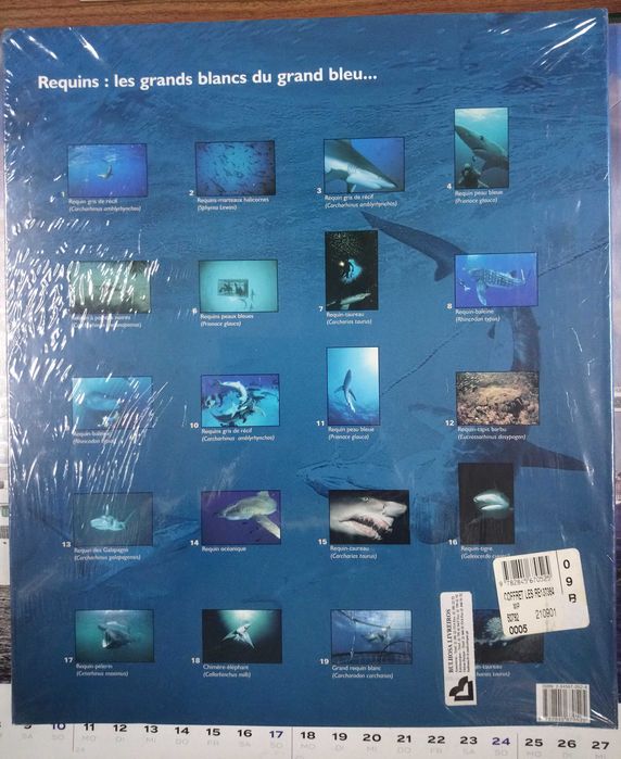 Livro sobre TUBARÕES / SHARK