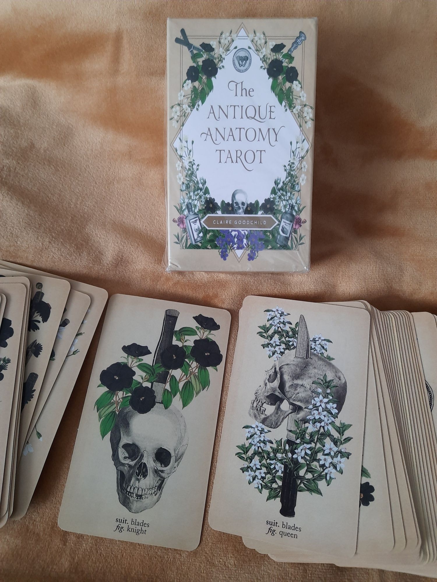 Karty tarot tarota Nowe anatomiczne antyczne czaszki