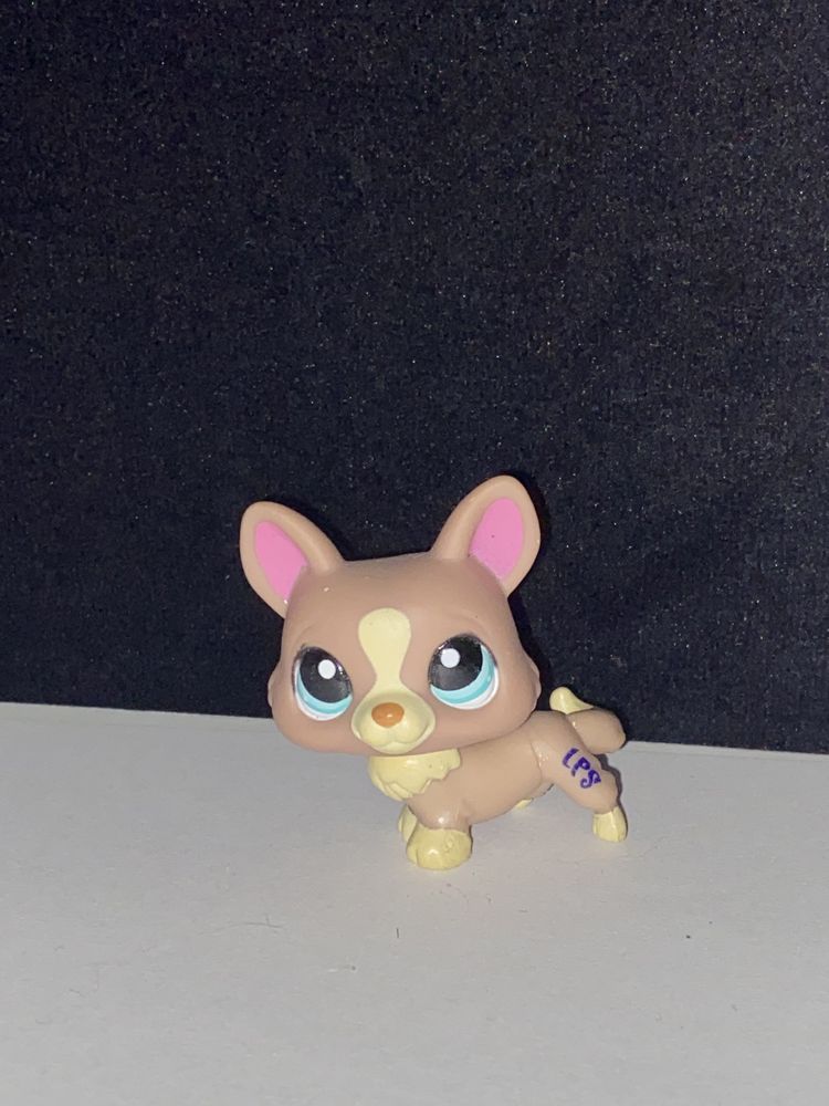 LPS Littlest Pet Shop figurka pies z 2007r