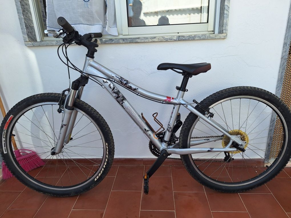 Specialized bicicleta