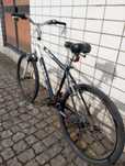 Bicicleta Berg Park