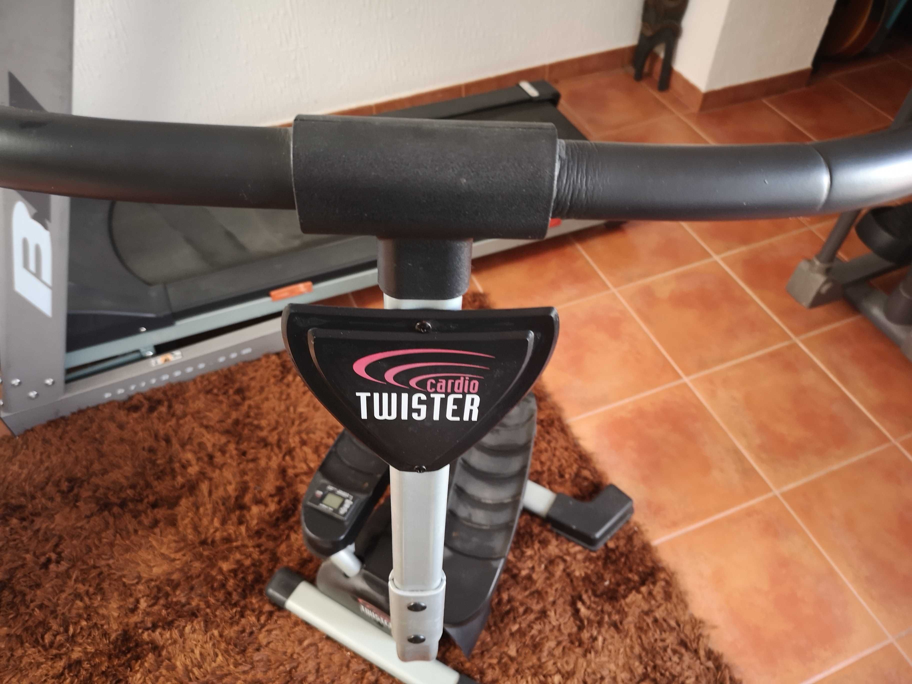 Stepper Cardio Twister