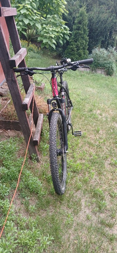 Rower MTB 29,25 Cali Univega