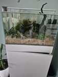 Akwarium optiwhite 60l zestaw