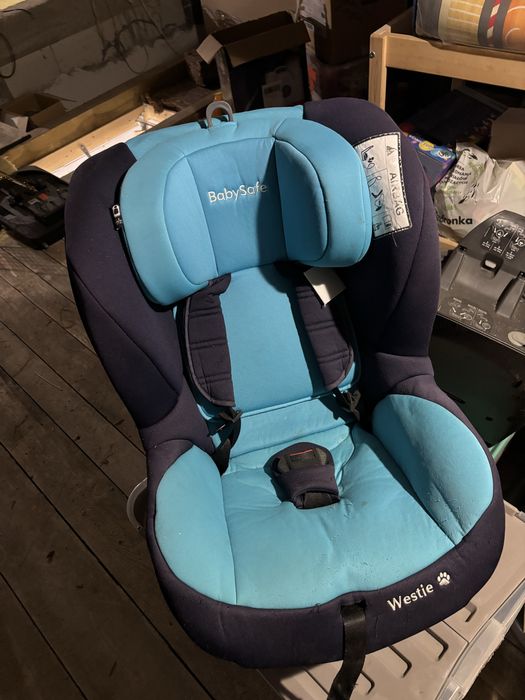 Fotelik z bazą BabySafe Westie 2.0 0-18 kg