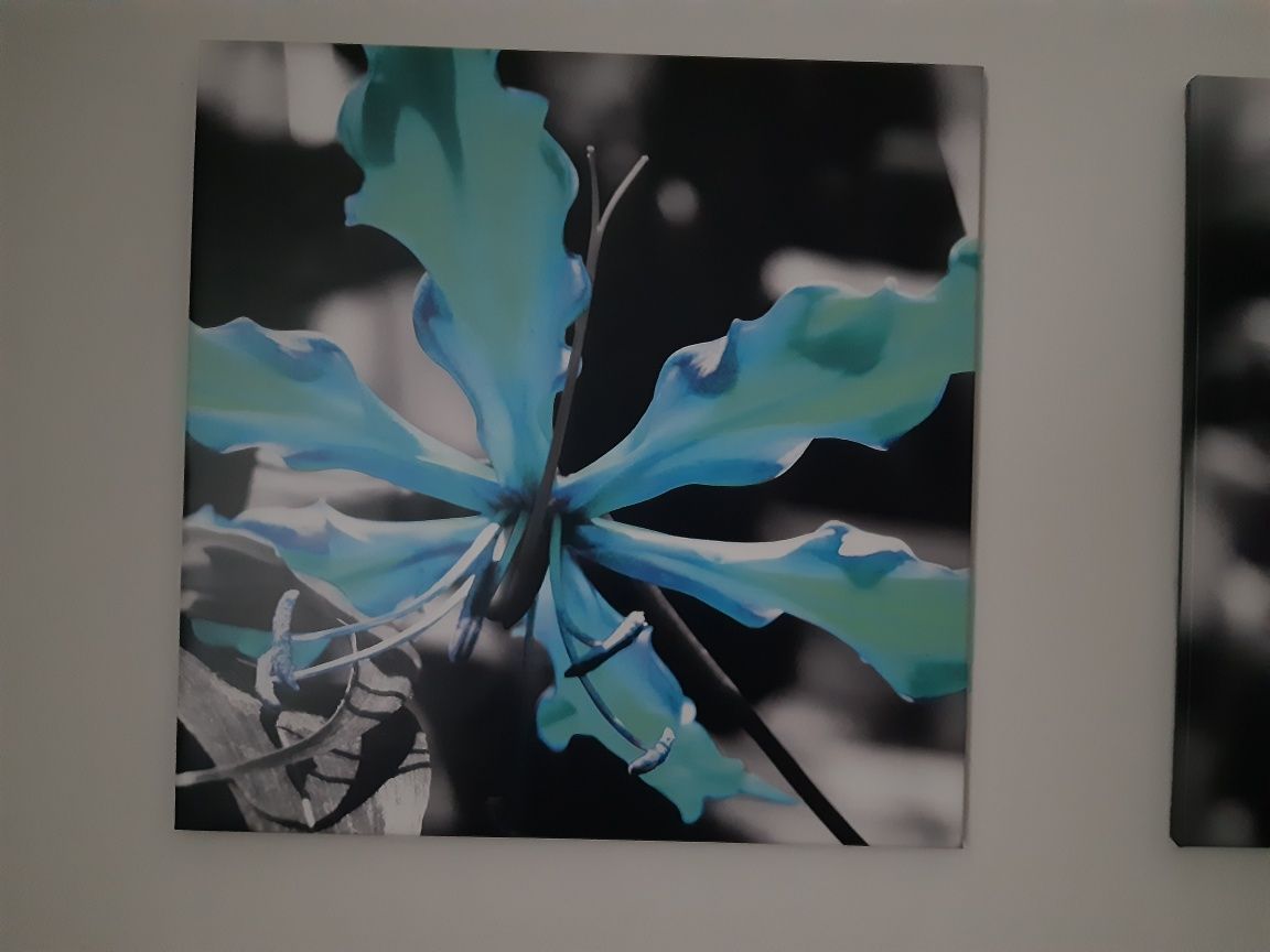 Fotoobraz na płótnie 70 x 70