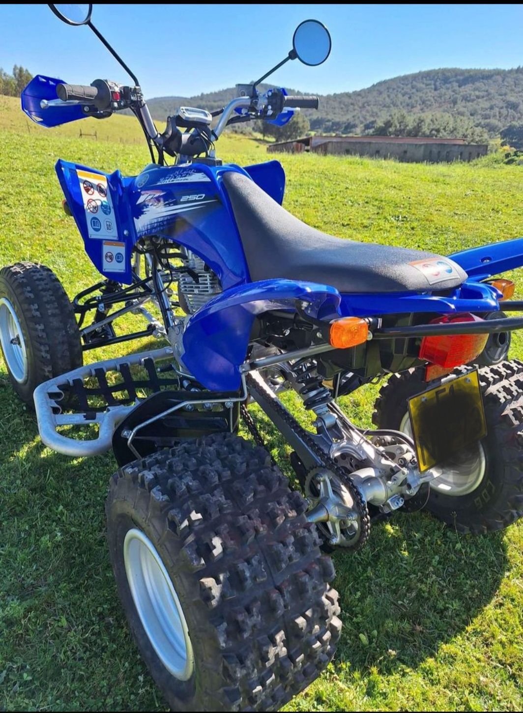 Yamaha Raptor 250