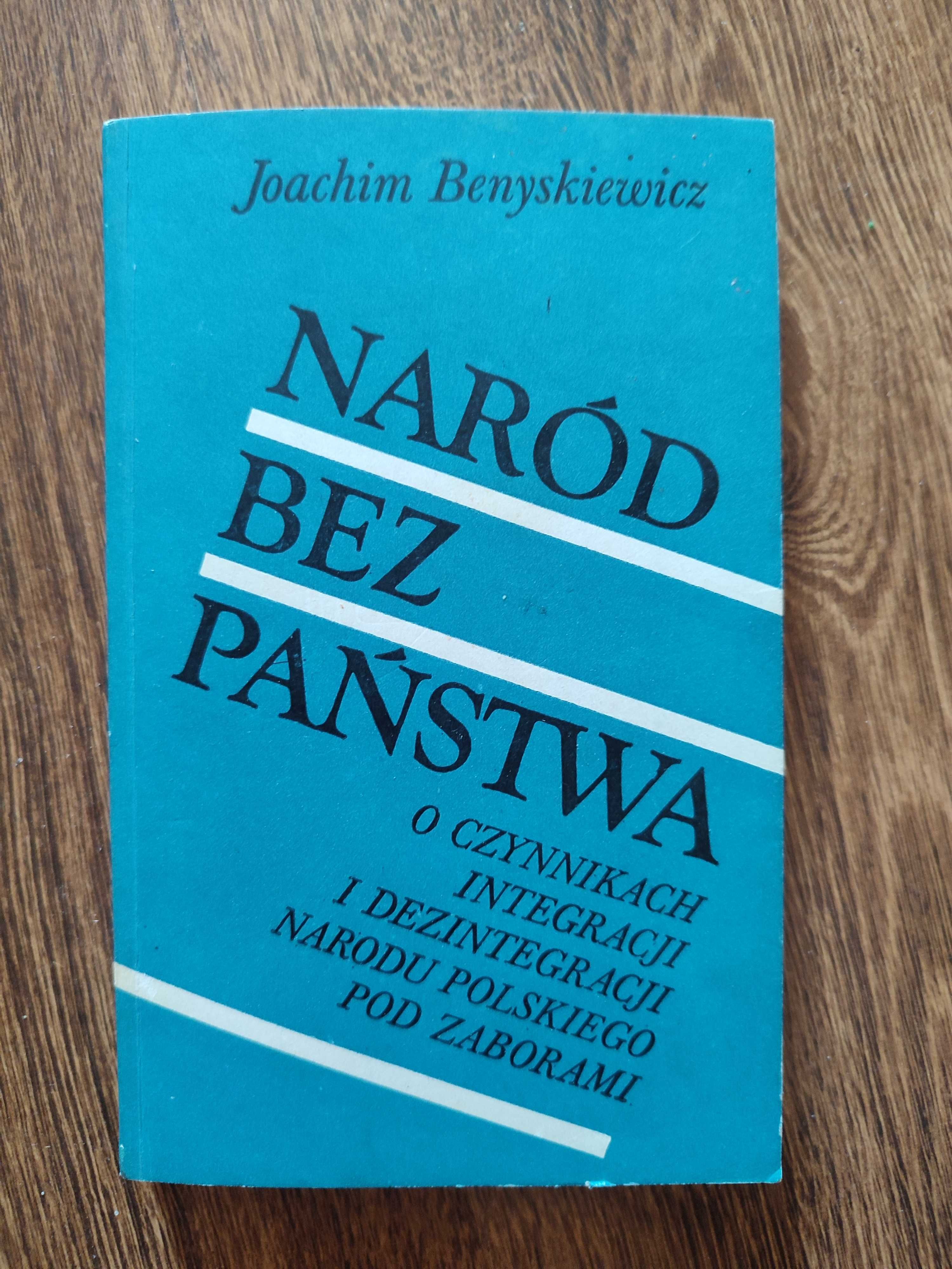 Naród bez państwa o czynnikach integracji i dezintegracji pod zaborami