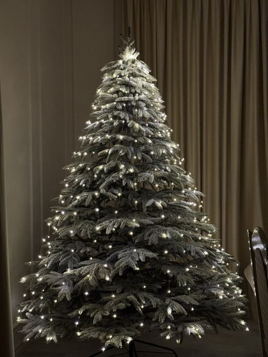 Ялинка Смерека ,лита-засніжена ,висота 2,10