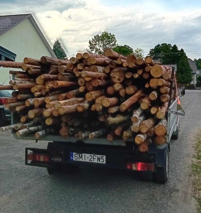 Drewno opałowe, drzewo opałowe, opał