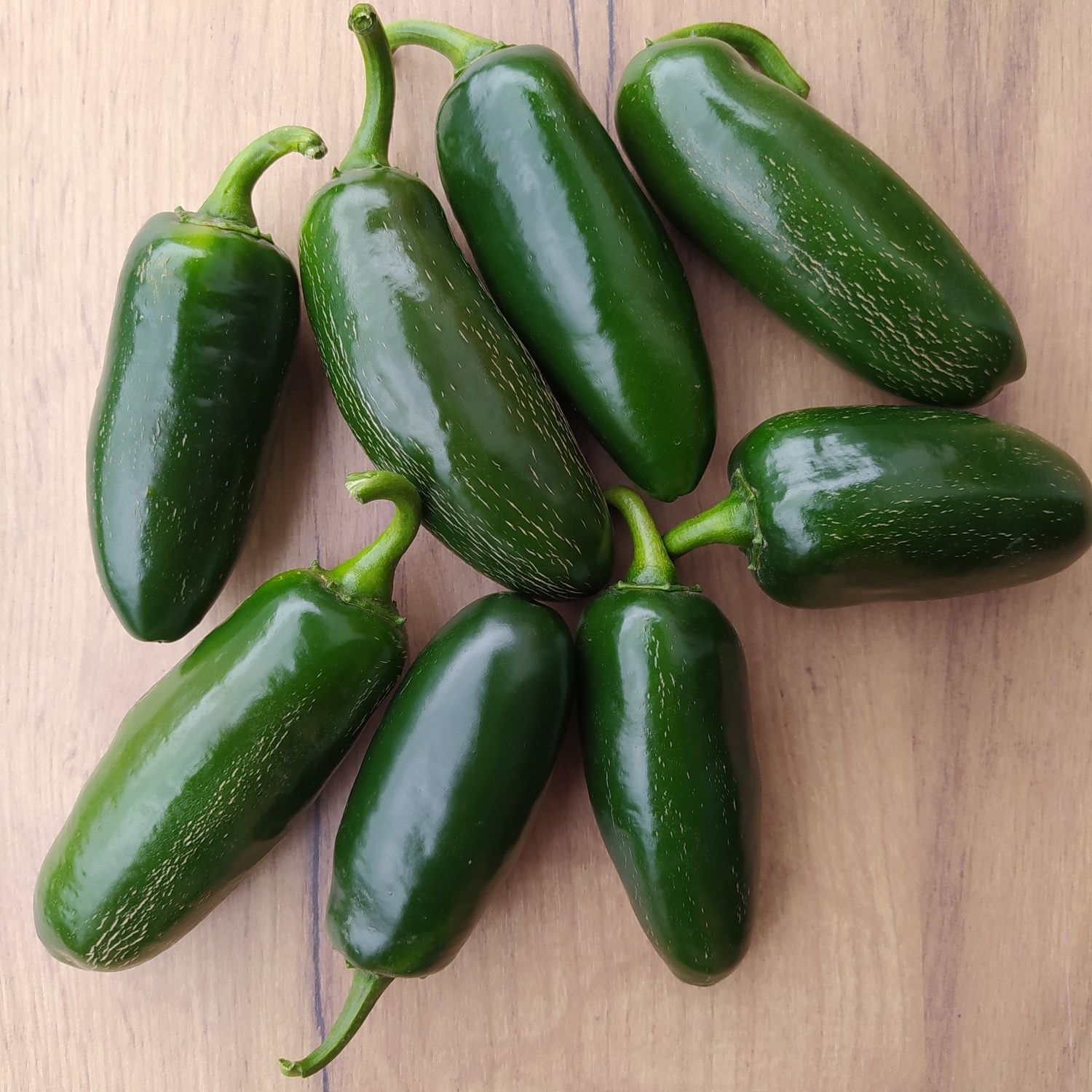 Papryka Jalapeno 10kg ostra z wlasnej uprawy chilli