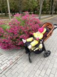 Прогулочная коляска Carrello Bravo Plus 2023