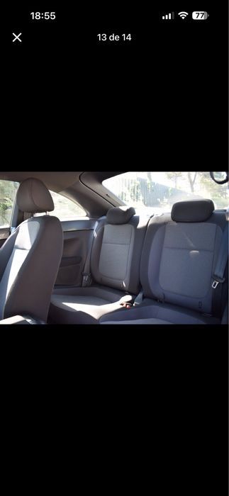 Bancos beetle 2018 [novos]