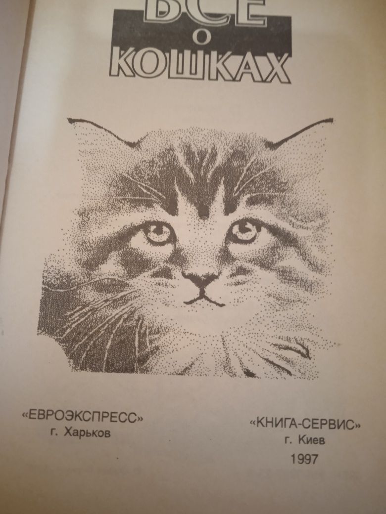 Все про котиків!