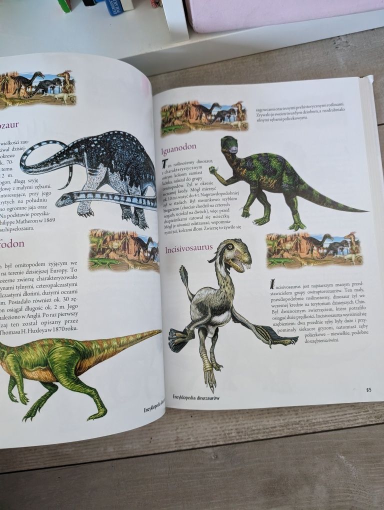 Encyklopedia dinozaurów