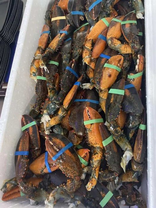 Клішні канадського лобстера (8-10шт/кг), ціна за  1кг