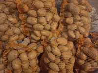 Ziemniak jadalne i sadzeniaki Soraya
