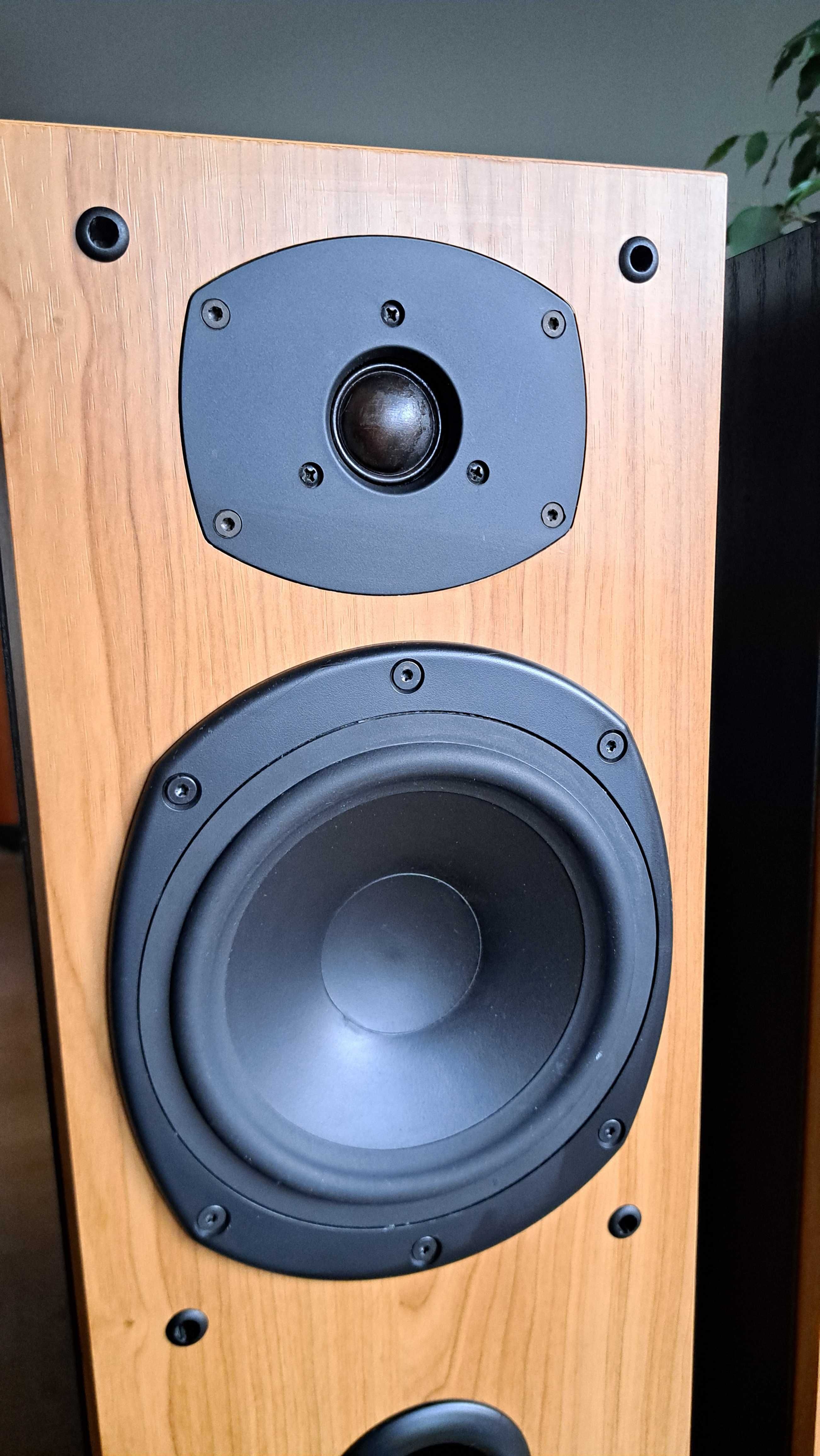 Kolumny podłogowe Tannoy Mercury M3 Cherry
