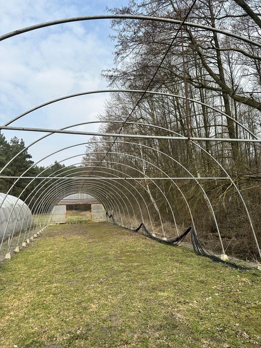 Konstrukcja Tunel foliowy ocynk