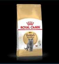 Royal canin British 4 кг