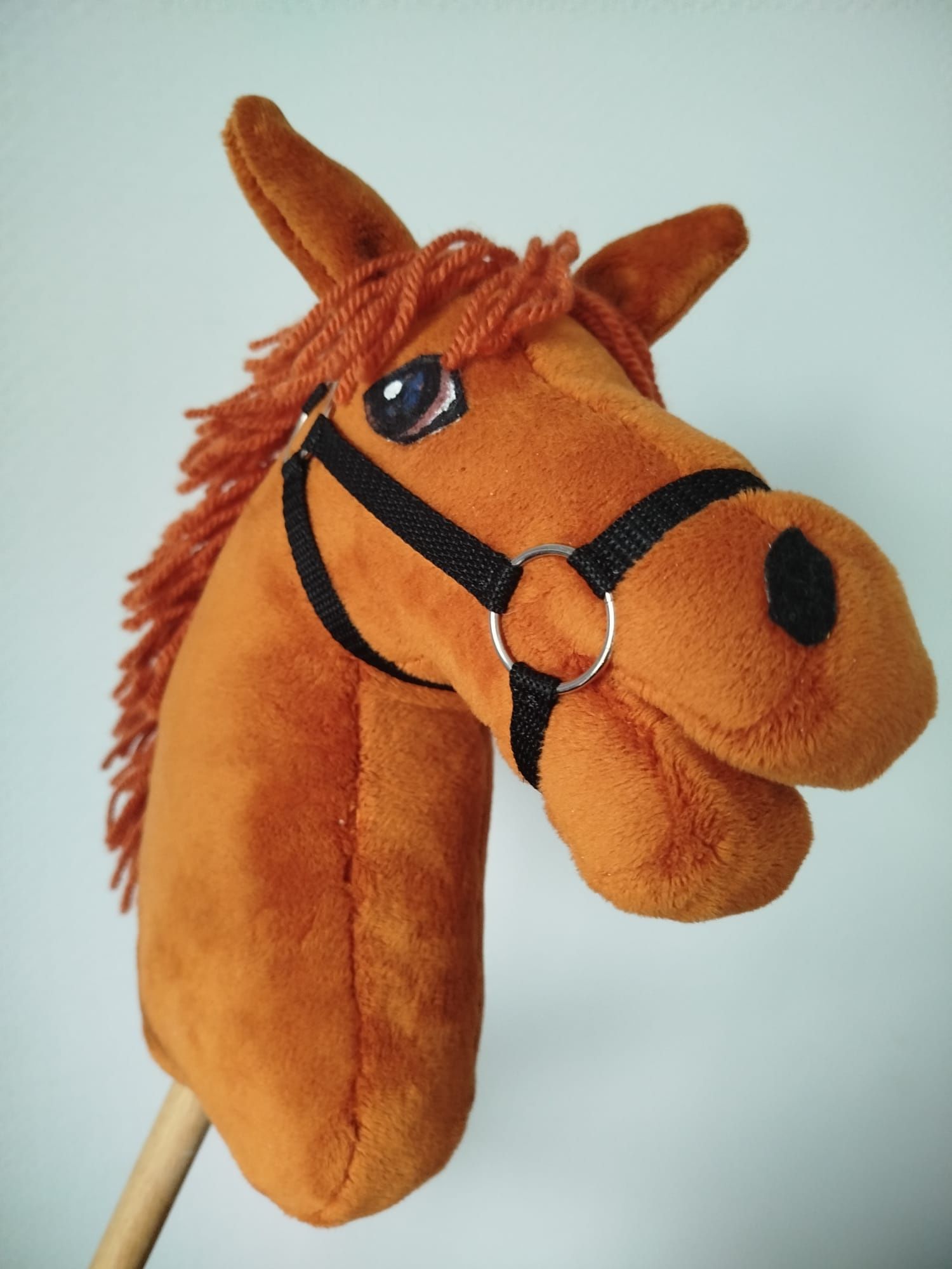 Hobby horse rudy A4