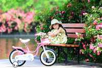Розвивайте моторику баланс вашої дитини велосипед велосипед royal baby