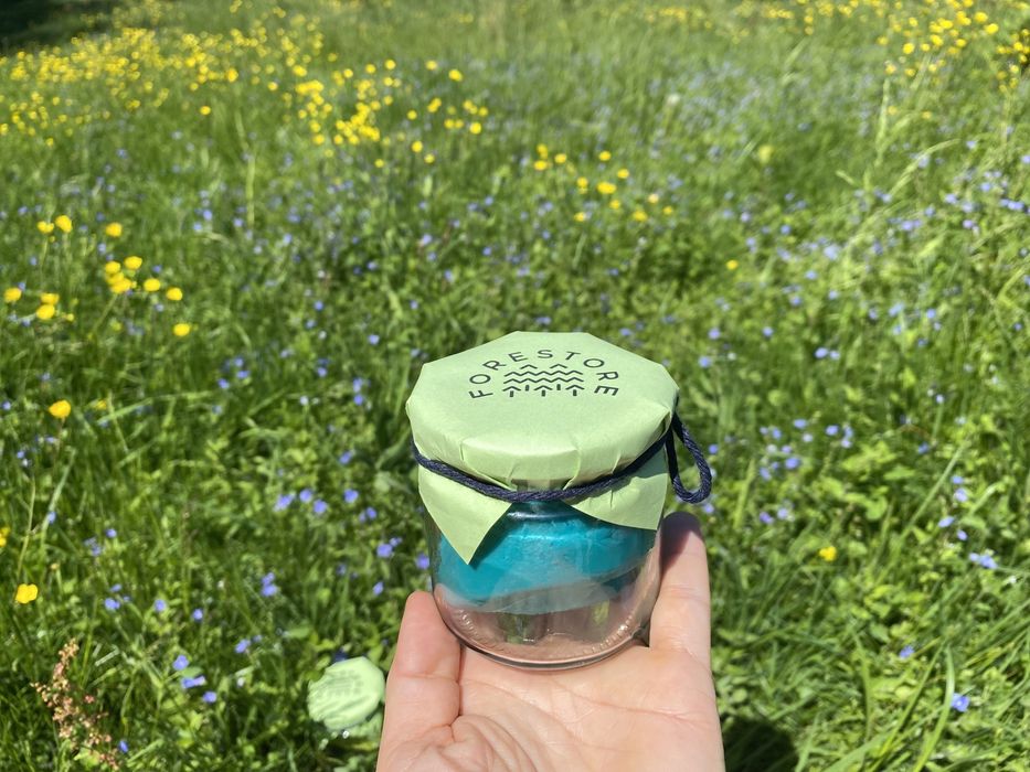 Naturalna Ciastolina Forestore