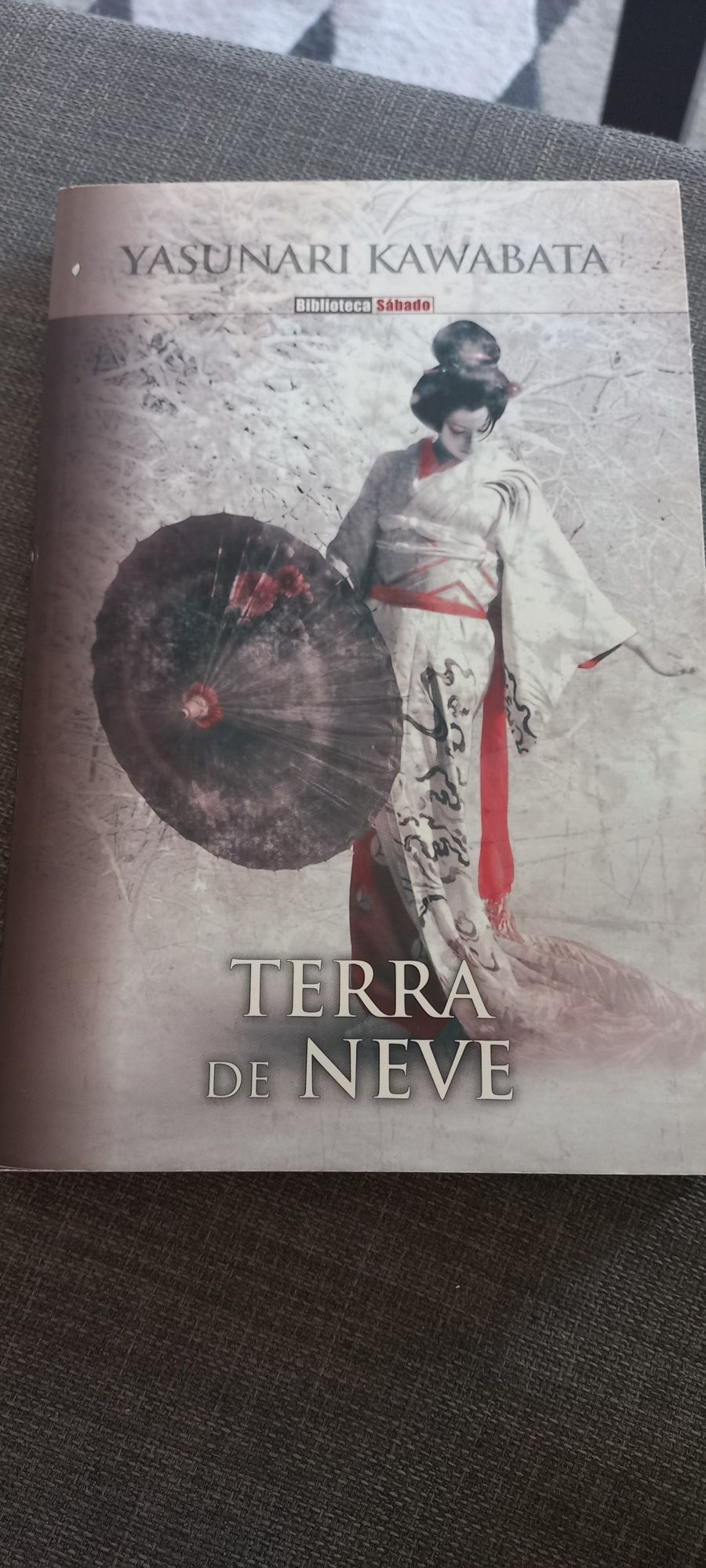 Terra de Neve de Yasunari Kawabata