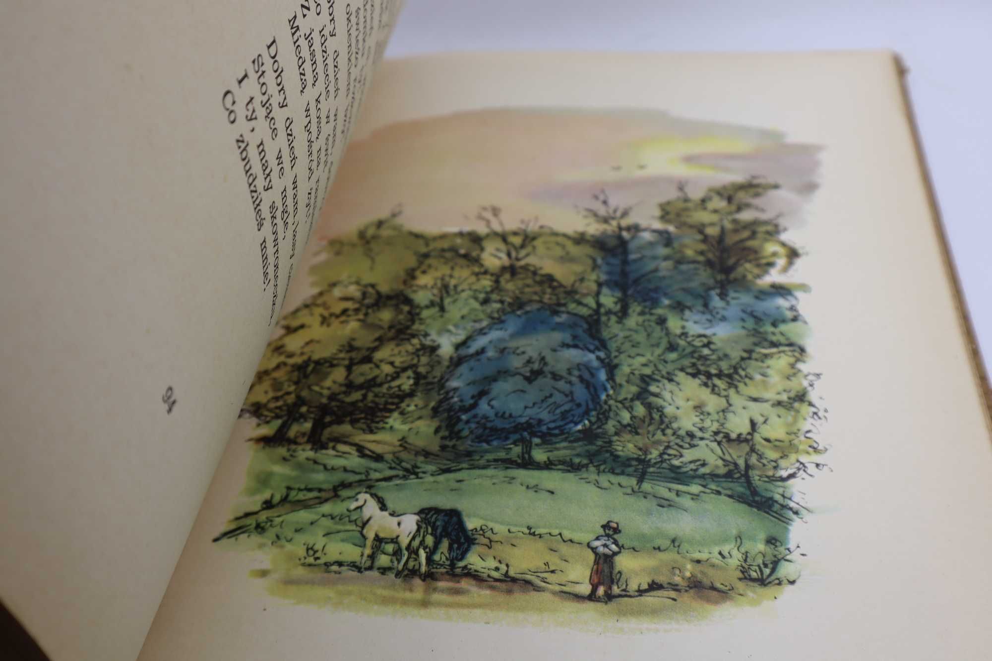 Co Słonko Widziało Maria Konopnicka 1954r ilustracje Zieleniec