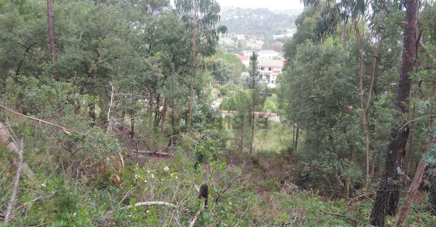 Terreno para VENDA ou PERMUTA 3500 m2