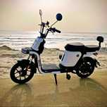 Scooter Eléctrica BEE