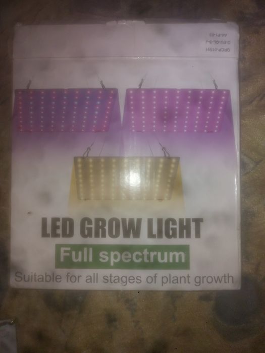 Фото лампы для всех видов растений