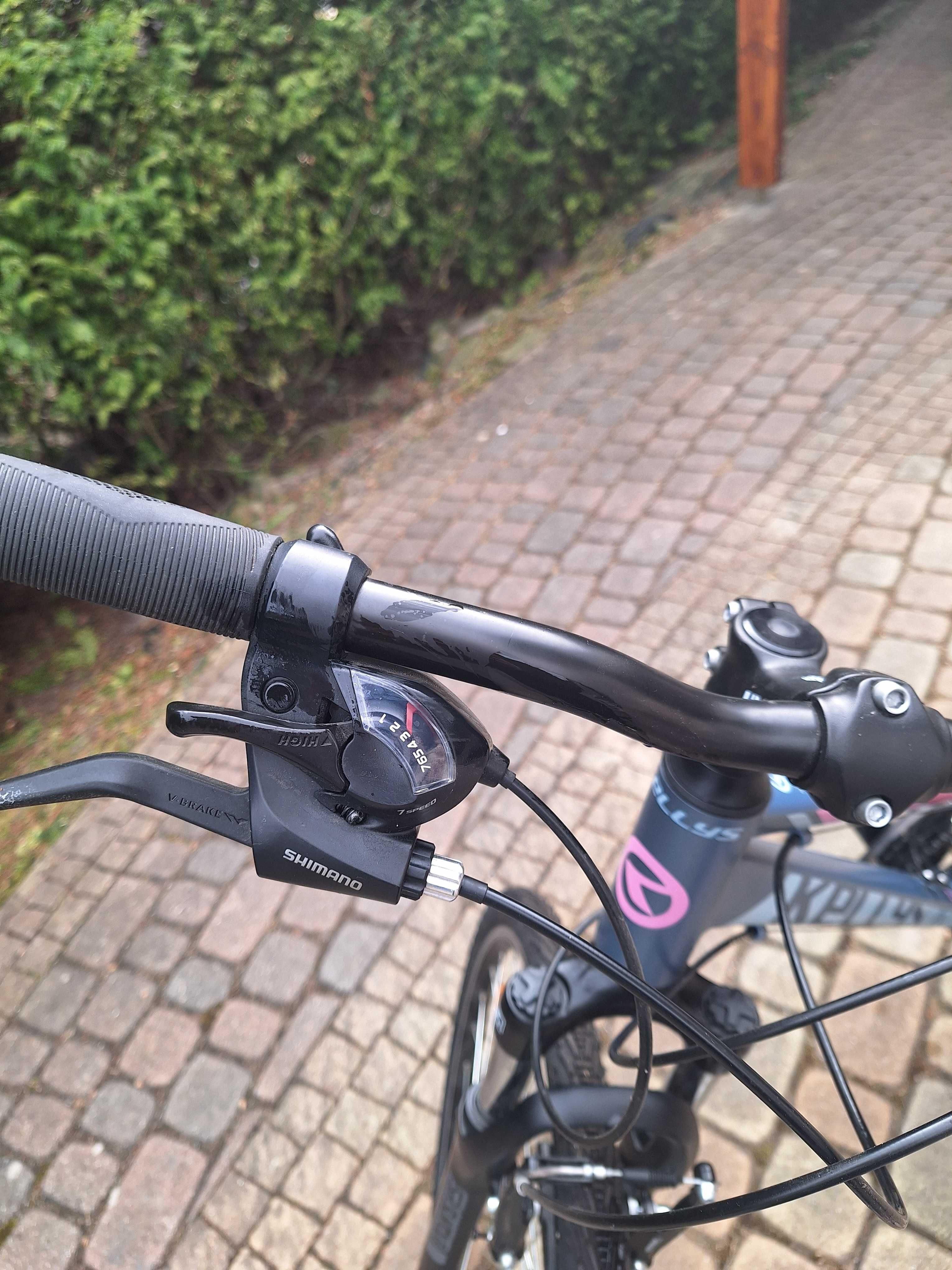 Rower Kellys Clea 10