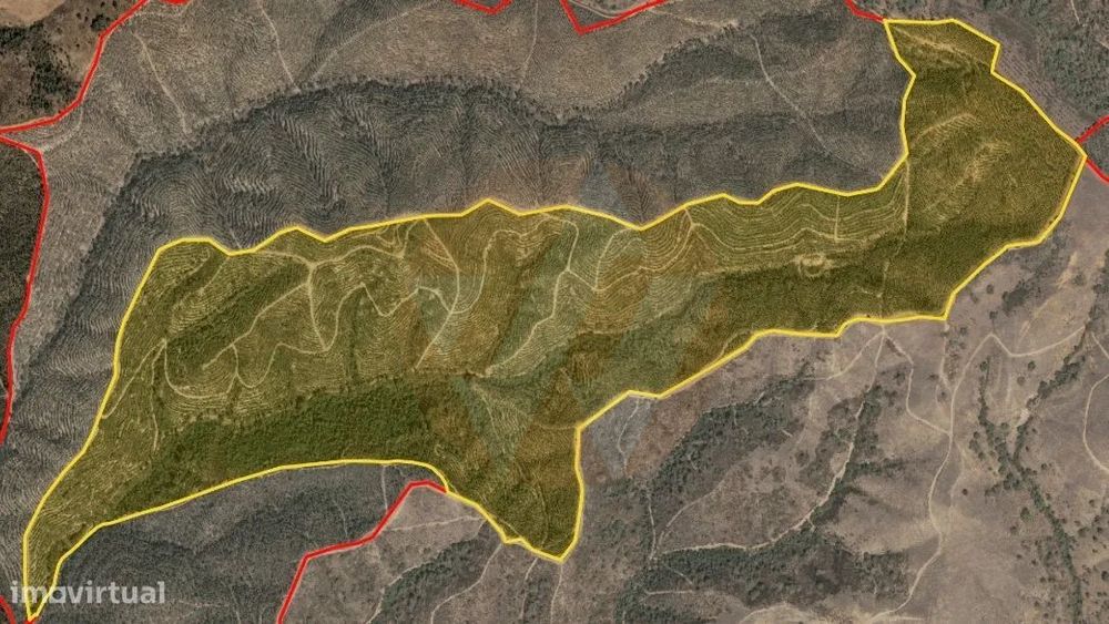 Terreno com potencial