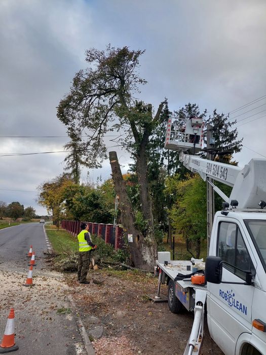 wycinka drzew karczowanie rębak skup drzew na pniu podnośnik koszowy
