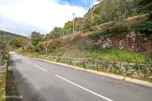 Terreno  para venda