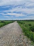 Земельна ділянка комерція 40 соток, Крюківщина, асфальт. світло.
