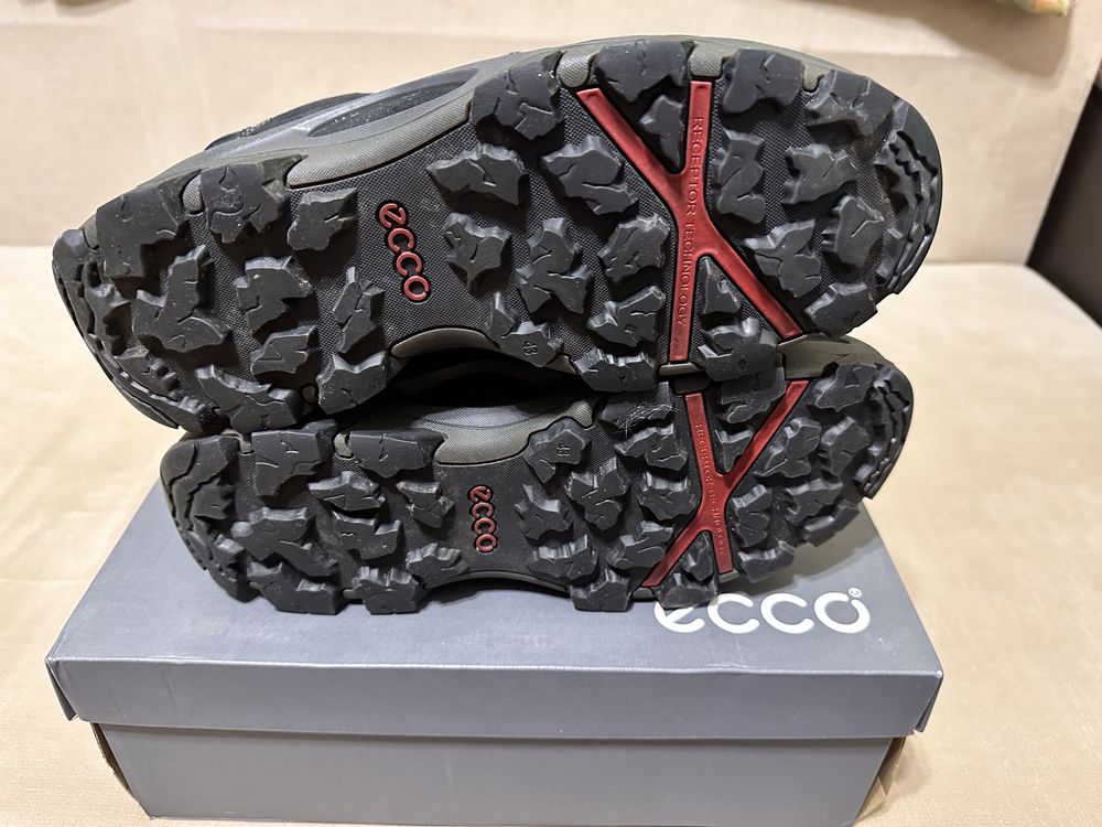 Ecco Terra Evo Gore-Tex черевики чоловічі