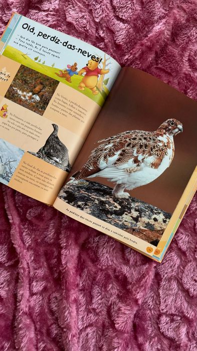 Livro Winnie The Pooh "A TUNDRA" Disney