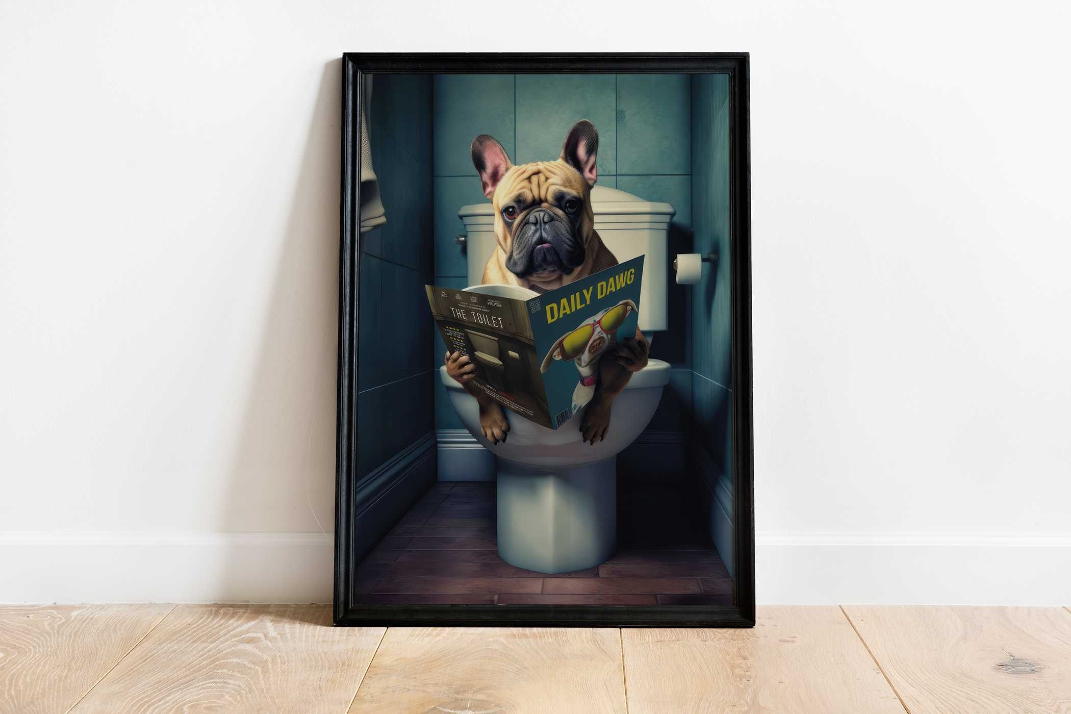 Plakat A3 Buldog Francuski w toalecie
