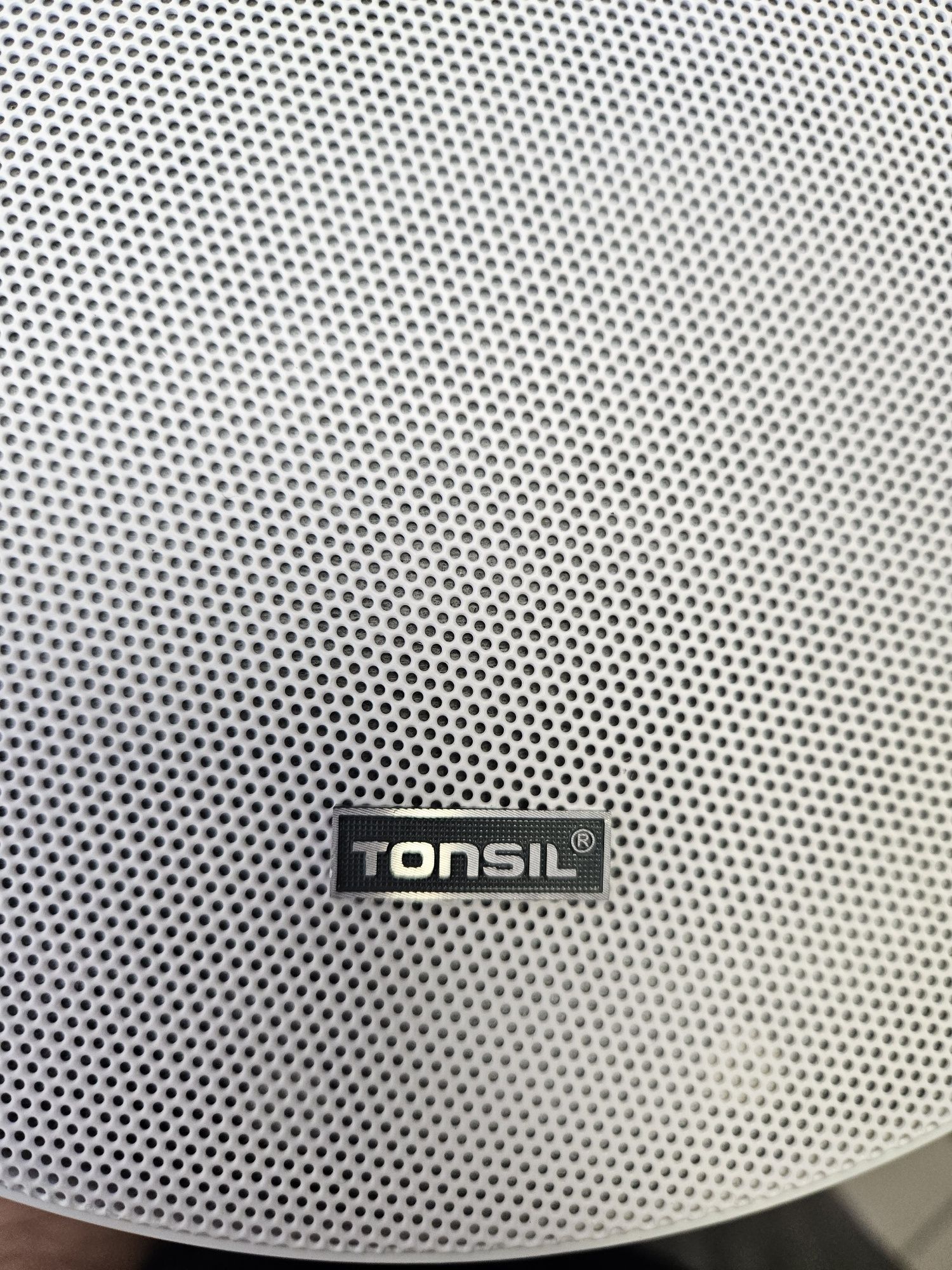 Tonsil business speaker 100W