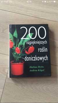 200 najpiękniejszych roslin doniczkowych