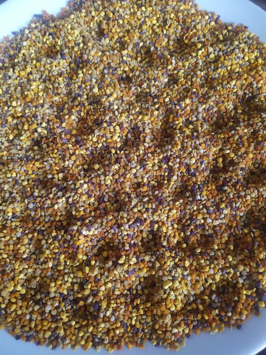 Пилок 2025року з власної пасіки