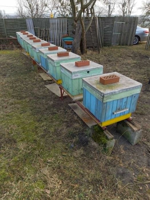 Pilna okazja - 20 szt. uli