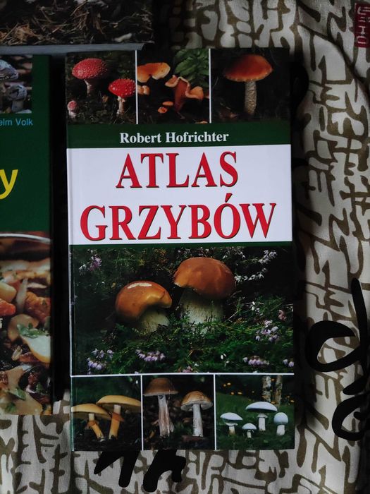 Książki Przewodnik Grzyby Ewald Gerhardt